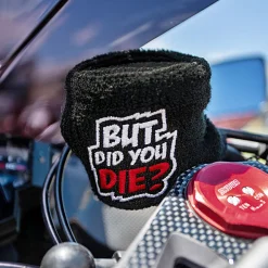 But Did You Die? - Reservoir Cover^Moto Loot Best