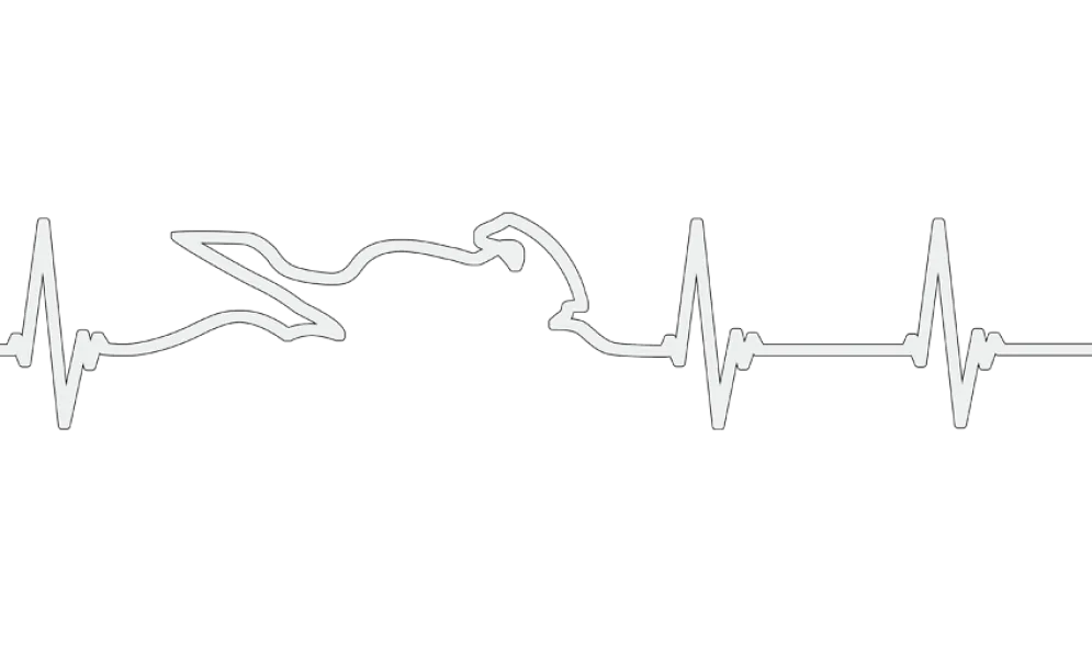 Motorcycle Decal - Motorcycle Heartbeat (2 pack)^Moto Loot Outlet
