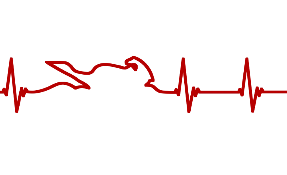 Motorcycle Decal - Motorcycle Heartbeat (2 pack)^Moto Loot Outlet