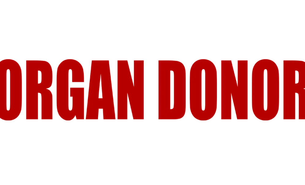 Motorcycle Decal - Organ Donor (2 pack)^Moto Loot Outlet
