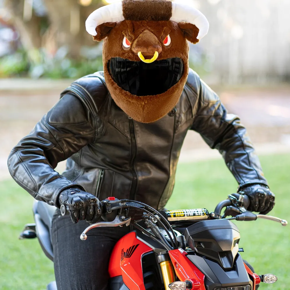 Motorcycle Helmet Cover - Bull^Moto Loot Discount