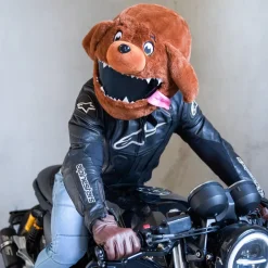 Motorcycle Helmet Cover - Dog^Moto Loot Hot