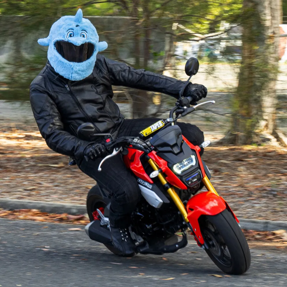 Motorcycle Helmet Cover - Dolphin^Moto Loot Discount
