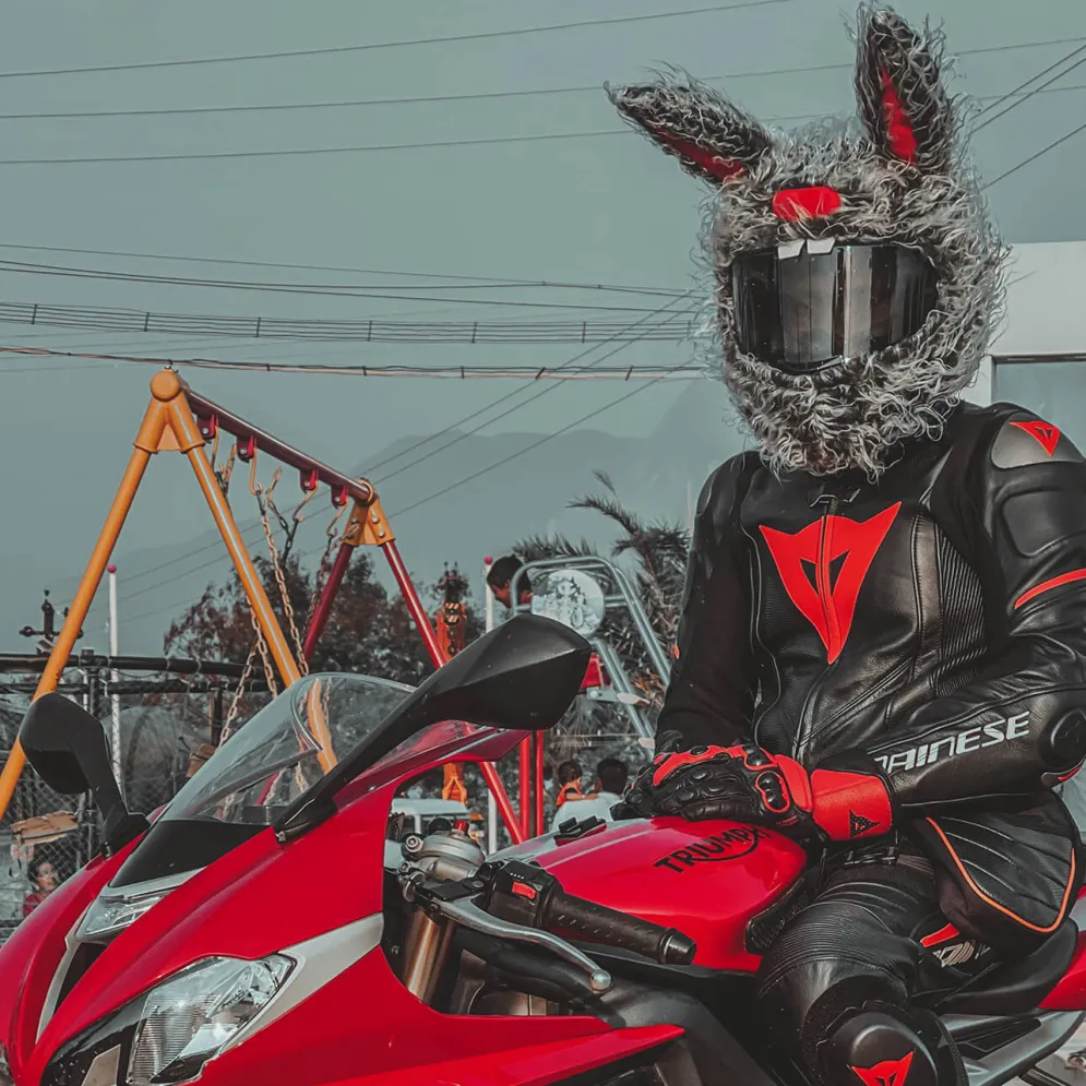 Motorcycle Helmet Cover - Evil Rabbit^Moto Loot Best