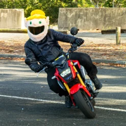 Motorcycle Helmet Cover - Fairy^Moto Loot Online