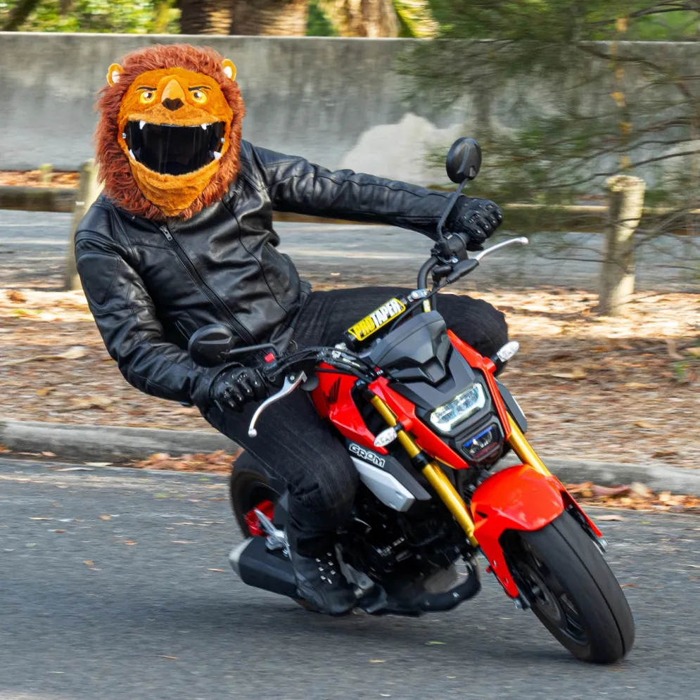 Motorcycle Helmet Cover - Lion^Moto Loot Discount