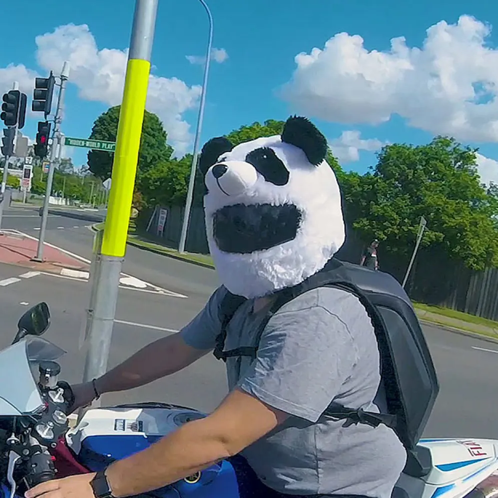 Motorcycle Helmet Cover - Panda^Moto Loot Clearance