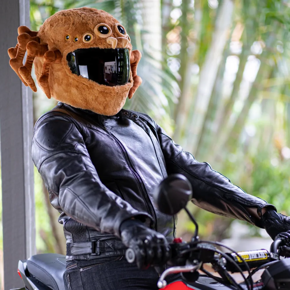 Motorcycle Helmet Cover - Spider^Moto Loot