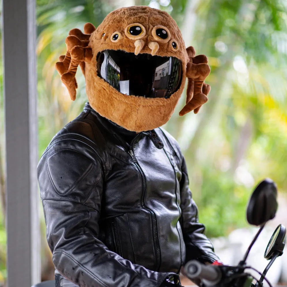 Motorcycle Helmet Cover - Spider^Moto Loot