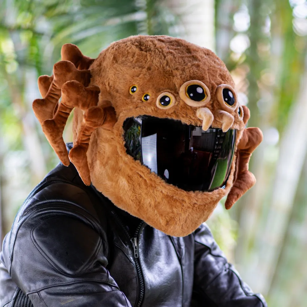 Motorcycle Helmet Cover - Spider^Moto Loot