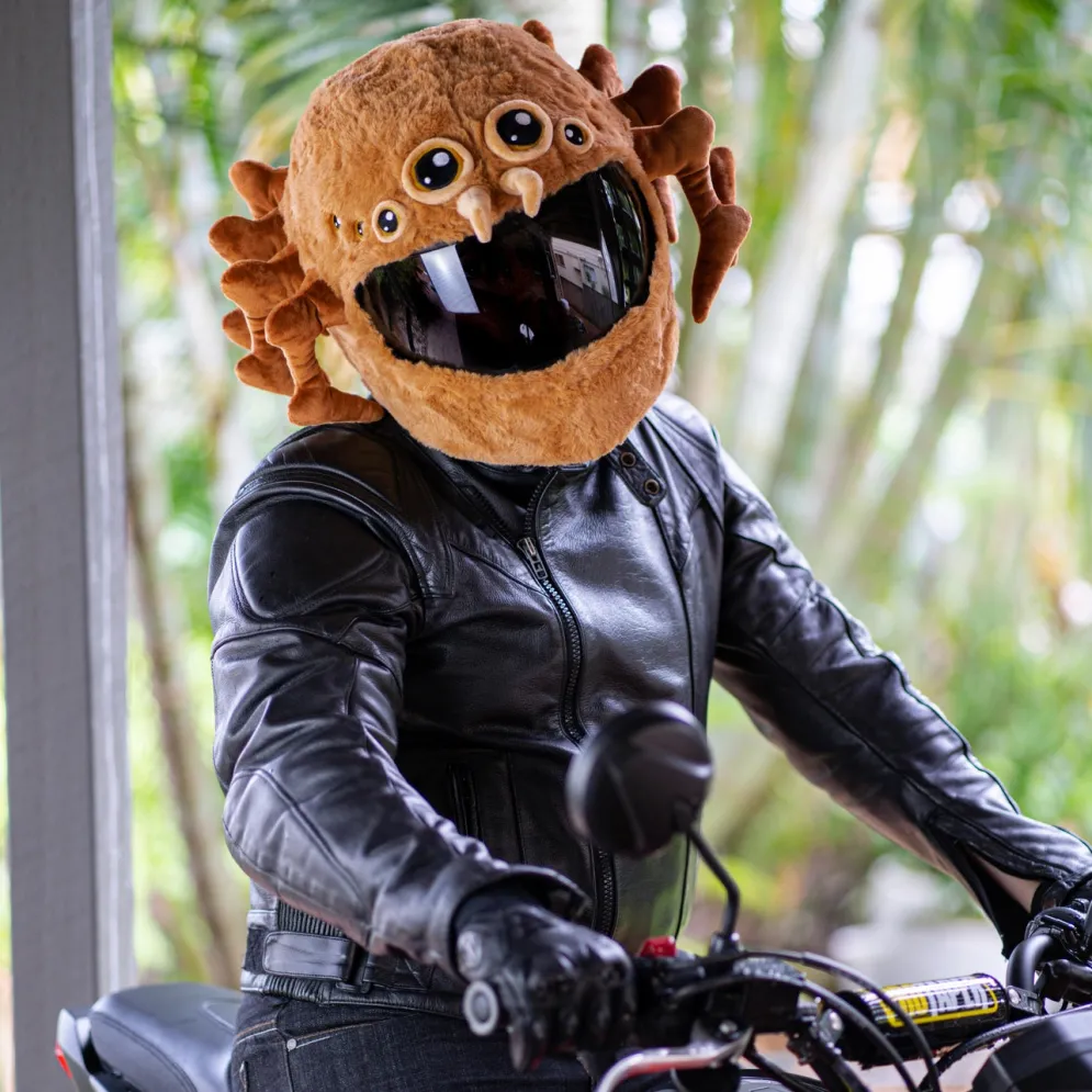 Motorcycle Helmet Cover - Spider^Moto Loot