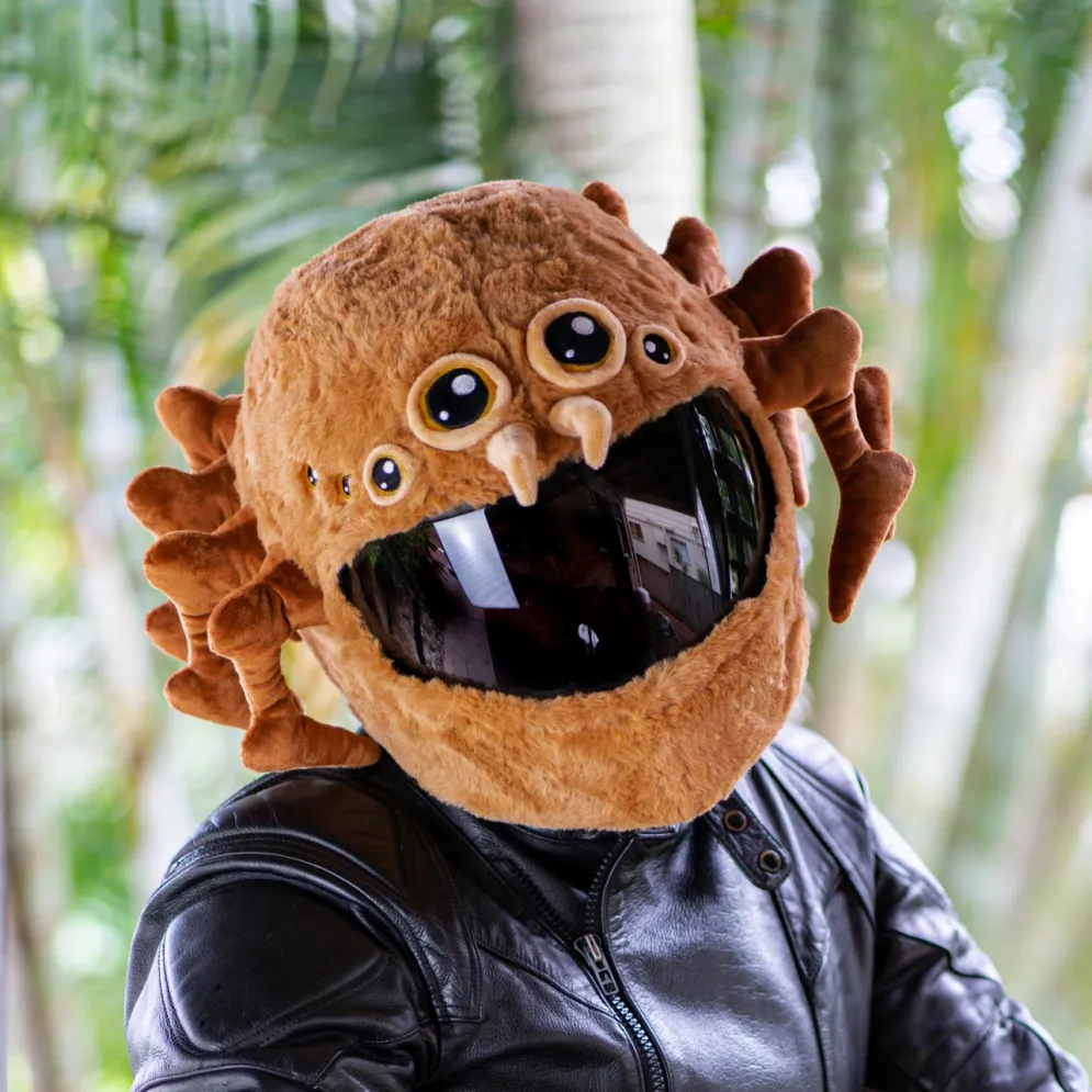 Motorcycle Helmet Cover - Spider^Moto Loot