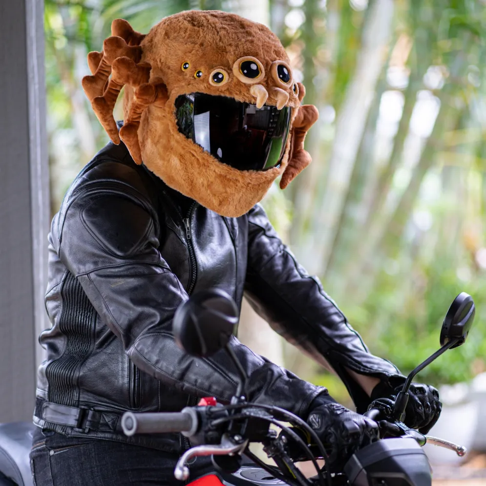 Motorcycle Helmet Cover - Spider^Moto Loot