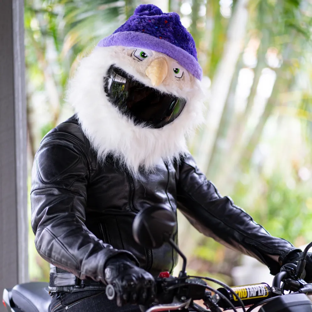 Motorcycle Helmet Cover - Wizard^Moto Loot Discount